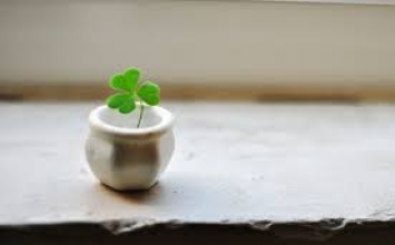 Cứng rắn hay thụ động?